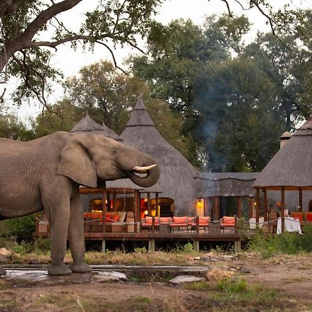 Hoyo Hoyo Safari Lodge Mluwati Concession Eksteriør billede