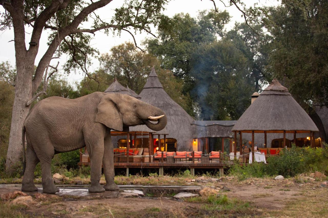 Hoyo Hoyo Safari Lodge Mluwati Concession Eksteriør billede