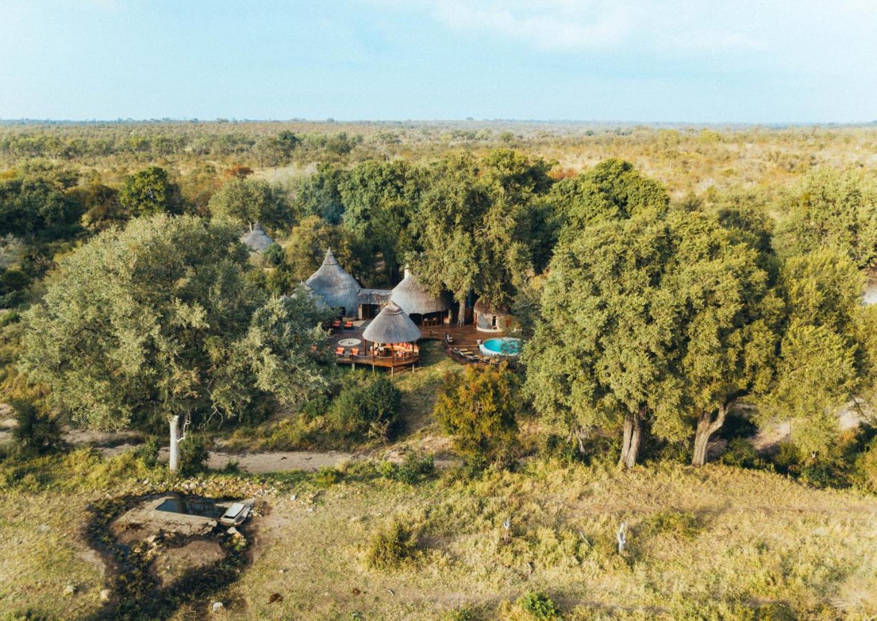 Hoyo Hoyo Safari Lodge Mluwati Concession Eksteriør billede