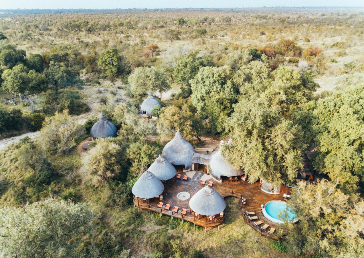 Hoyo Hoyo Safari Lodge Mluwati Concession Eksteriør billede