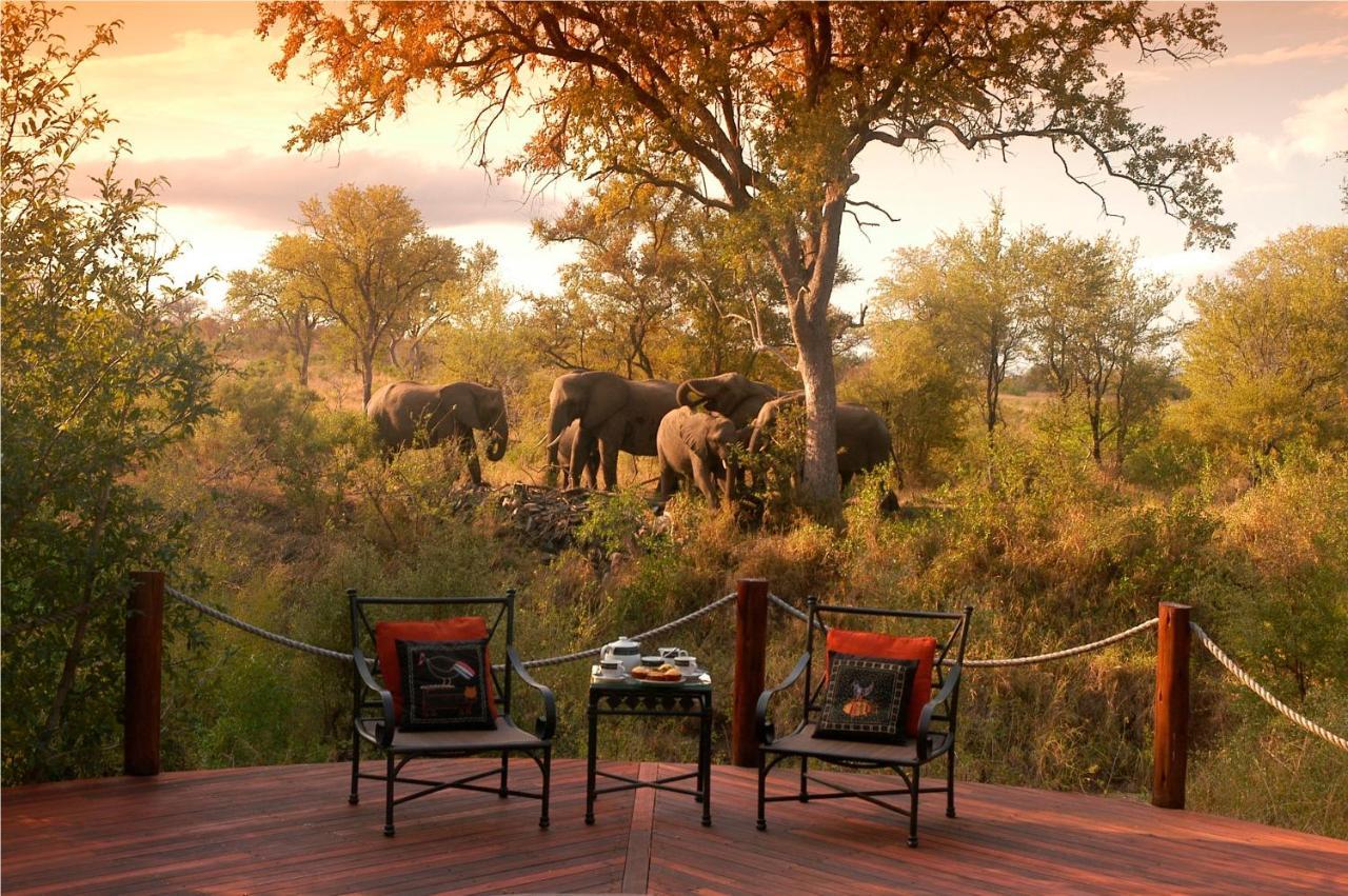 Hoyo Hoyo Safari Lodge Mluwati Concession Eksteriør billede