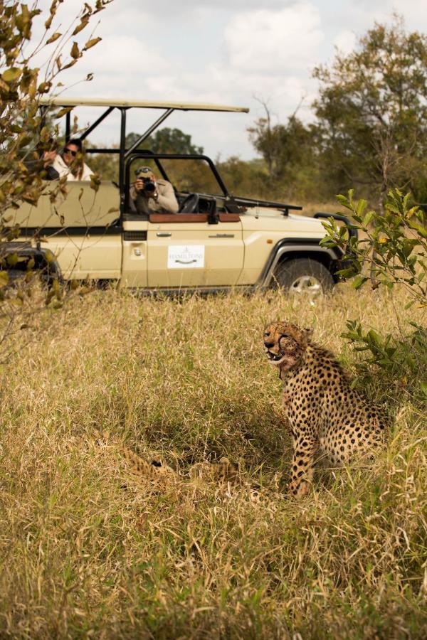 Hoyo Hoyo Safari Lodge Mluwati Concession Eksteriør billede